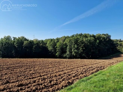 Działka rolna Szynwałd gm. Skrzyszów