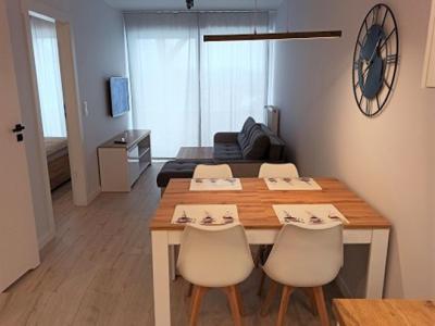 Apartament Świerkowy 12