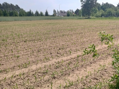 Białostocki, Dobrzyniewo Duże, Pogorzałki