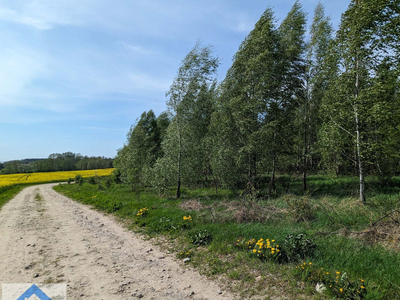 Białostocki (pow.), Turośń Kościelna (gm.), Niecki