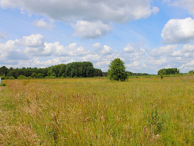 Białostocki, Zabłudów