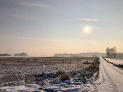 Białostocki, Zabłudów, Kuriany