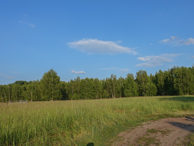 Grzepnica działka 3026 m2, media, 150 zł/m2