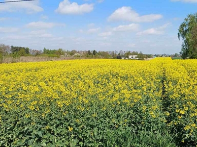 Jakubowice, Akacjowa, działka budowlana MN