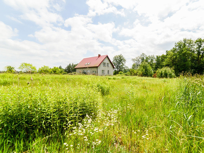 Nowodworski, Zakroczym, Mochty-Smok