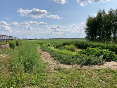 Działka na sprzedaż, Warszawski Zachodni, Umiastów