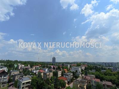 Sosnowiec M., Sosnowiec, Pogoń