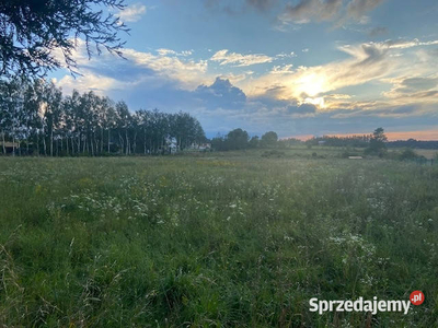 Śląskie/działki/budowlane/Rzeniszów/Gmina/Koziegłowy/bliskoDK1