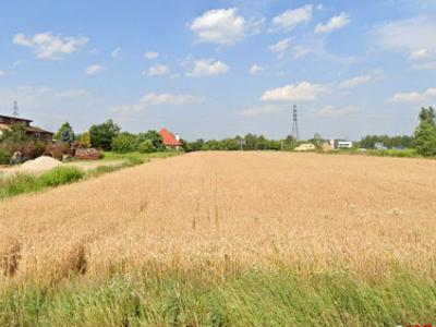 Działka budowlana, ul. Drewny