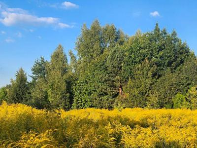 Działka budowlana, ul. Supraślska