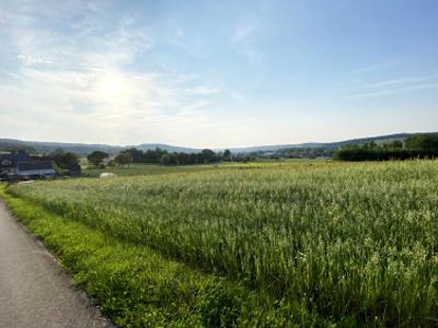 Działka budowlana Wyżne