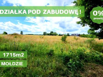 Działka rolno-budowlana Mołdzie