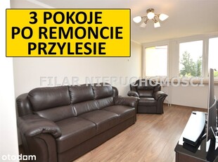 3 pokoje po remoncie na Przylesiu