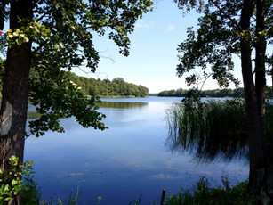 Działka budowlana Kępa