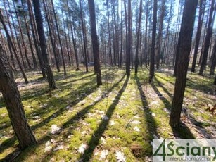 Działka budowlana Siestrzeń