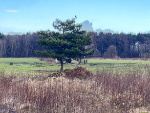 Działka budowlana, ul. Nadziei