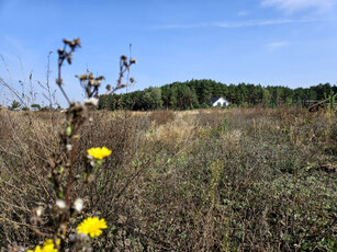 Działka budowlana, ul. Spokojna