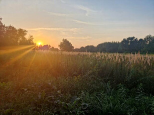 Działka budowlana Wołomin