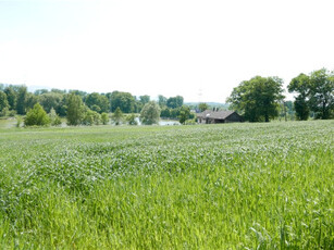 Działka komercyjna Bielsko-Biała