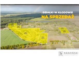 Działka komercyjna Widuchowa