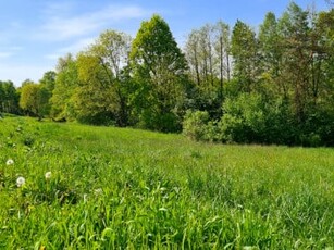 Działka leśna Dziekanowice