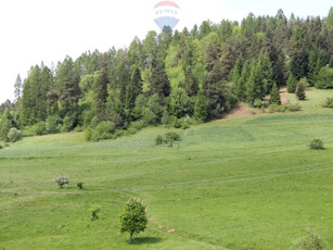 Działka leśna Krośnica