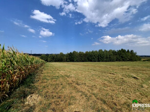 Działka rolno-budowlana Rudzica