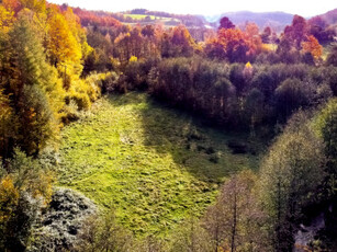 Działka siedliskowa Przetoczyno