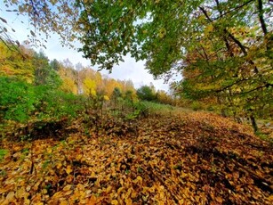 Działka, ul. Lubiatowska