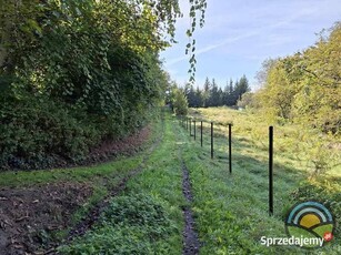 Nielepice gm. Zabierzów - działka budowlana 1300m2 blisko lasu !