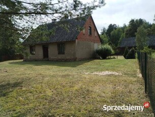 Sprzedam dom z działką, dookoła las Bory Tucholskie