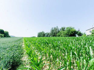 Lubelski, Jabłonna, Piotrków Drugi