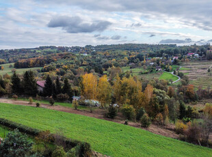 Wielicki, Wieliczka, Golkowice