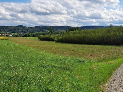 Działka rolna Bieździedza