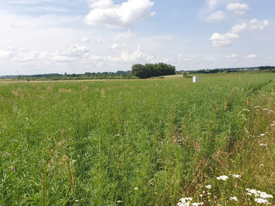 Rozwojowa 79 Grębiszew Mińsk Mazowiecki Miński Mazowieckie Biuro Nieruchomości