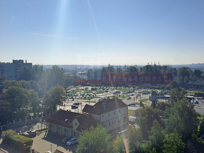 Opole, Dambonia