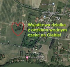 Dla Ciebie wyjątkowa z oczkiem wodnym! Kaszuby