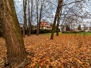 Dom, ul. Królowej Jadwigi