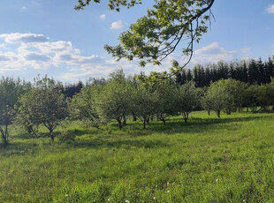 Pruszkowski, Nadarzyn, Rusiec