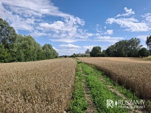 Działka na przedmieściach Nowego Stawu