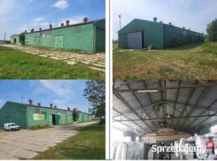 Sprzedam magazyn w Grabowie o pow. 1097,05 m2