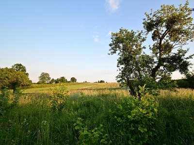 Działka budowlana Nałęczów