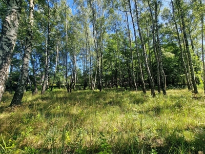 Działka budowlana Łódź Bałuty