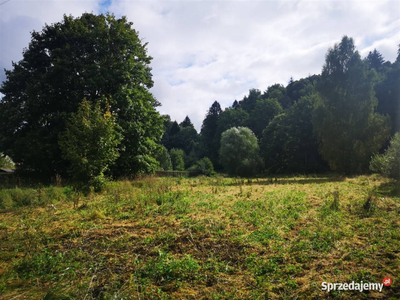 Działka budowlana w Miłoszowie gm. Leśna