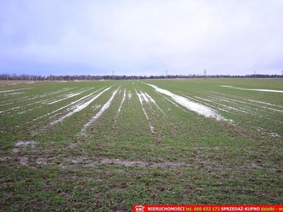 Działka budowlana Wierciszów