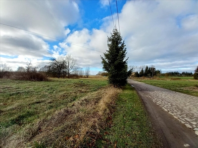 Działka na sprzedaż, Gryficki, Włodarka