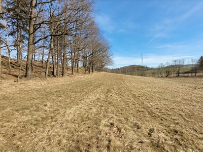 Działka na sprzedaż, Jeleniogórski, Stara Kamienica