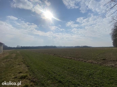 Działka rolna 1,25 ha w Goszczewicach