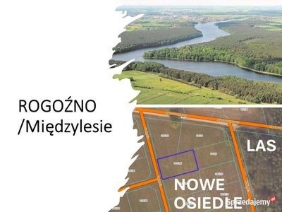 Rogoźno/Międzylesie. Budowlana. Pod lasem. Jezioro