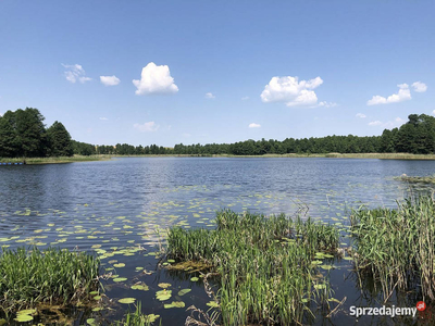 Sprzedaż działki 1100m2 Giżycko